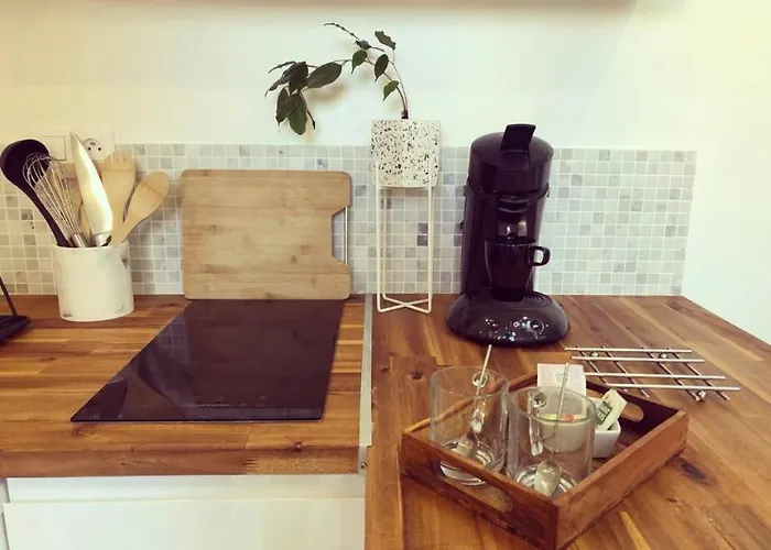 Cosy Idealement Situe * 昂热